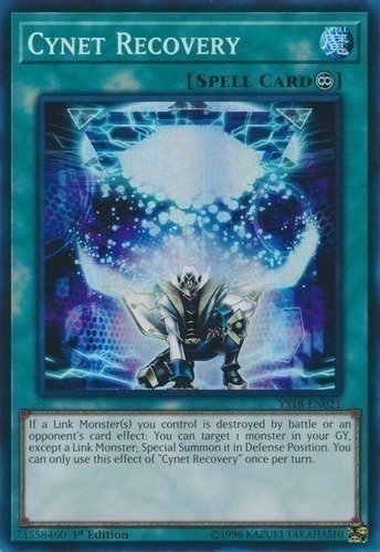 Cynet Recovery (YS18-EN021)