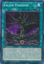 Imagen anterior del producto