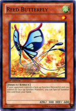Imagen anterior del producto