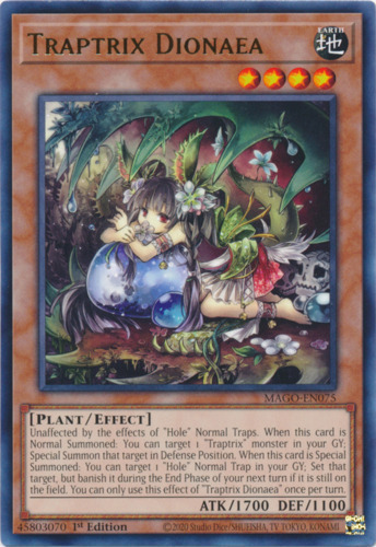 Traptrix Dionaea (SDBT-EN006)